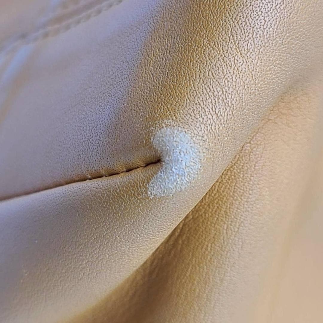 COACH 4133 Vintage Tote Shoulder Bag Ziplock Leather Beige Gold Hardware Japan thumbnail 17