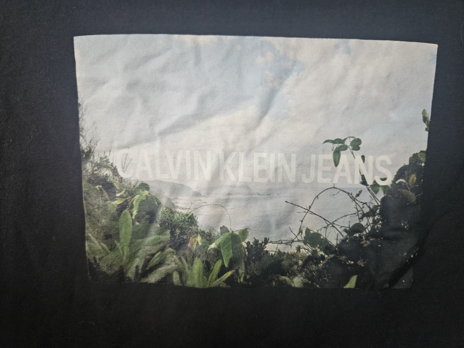 Calvin Klein Jeans Black Graphic Logo T-Shirt Women’s Medium Cotton Tee thumbnail 3